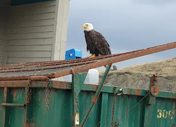 Alaska Ship Supply