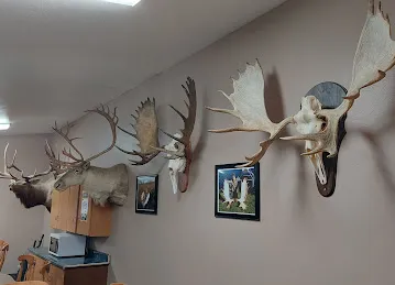 Trophy Lodge Accommodations
