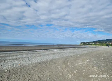 Young's Oriental Restaurant